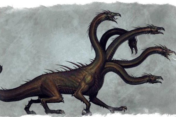 Kraken site
