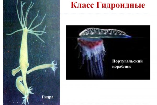 Кракен сайт kr2web in цены
