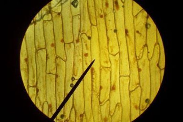 Кракен зеркало 2kraken biz