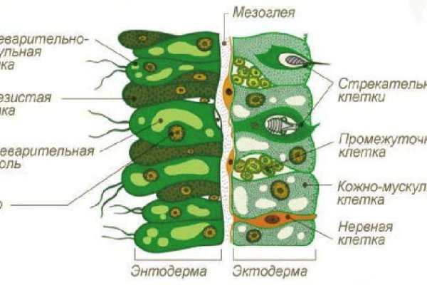 Kra10cc