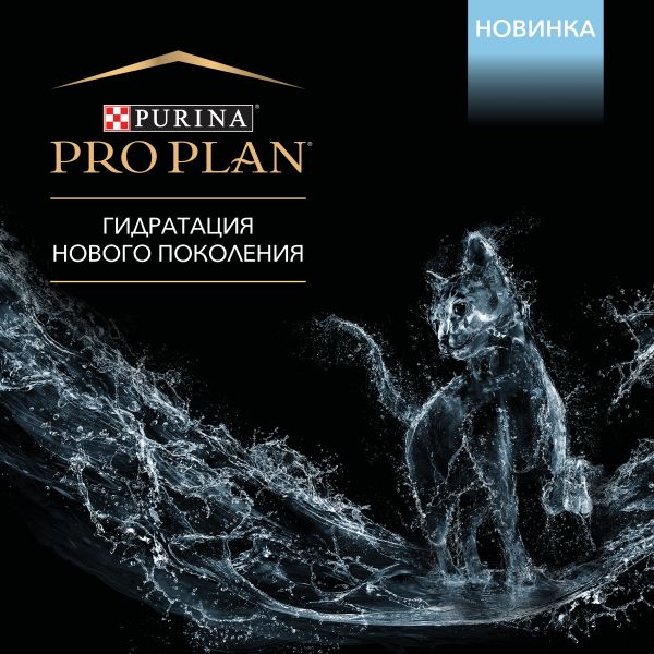Купон кракен даркнет
